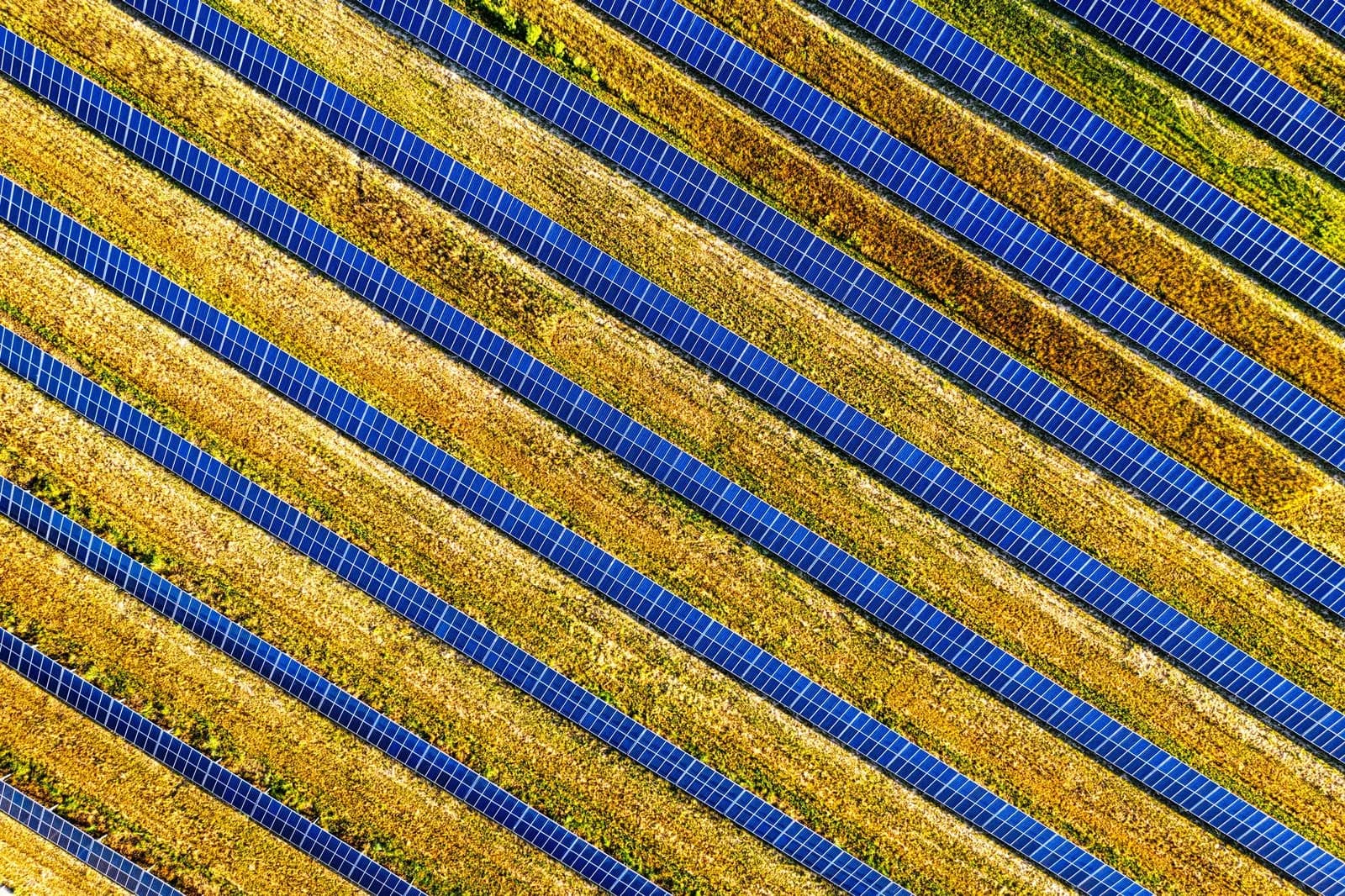 Catalyst Fund Hits $30M Second Close for African Climate-Tech Startups
